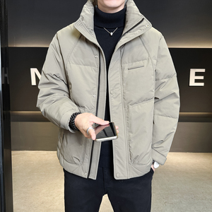 标50绒 冬季立领羽绒服男士休闲2025青年外套男B320-6621-P225图片