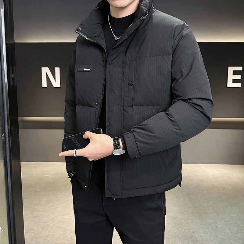 店主风冬季立领羽绒服男生2025年休闲外套男装B320-4403-P170，男装羽绒服，电商B320