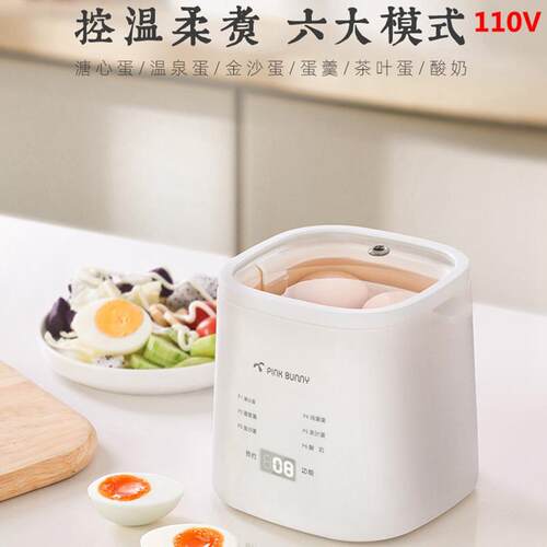 110V American standard Taiwan hot spring egg steamingmachine