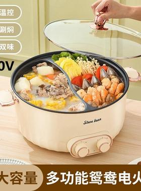 110VAmerican Double-flavor hot pot electric hot pot electric