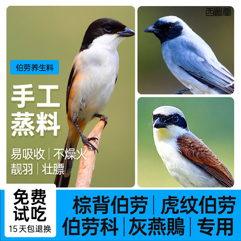 西蜀堂手工伯劳鸟饲料营养壮膘鸟食黑卷尾灰燕驯养放飞鸟食饲料