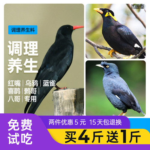 西蜀堂手工鹩哥八哥乌鸦专用饲料