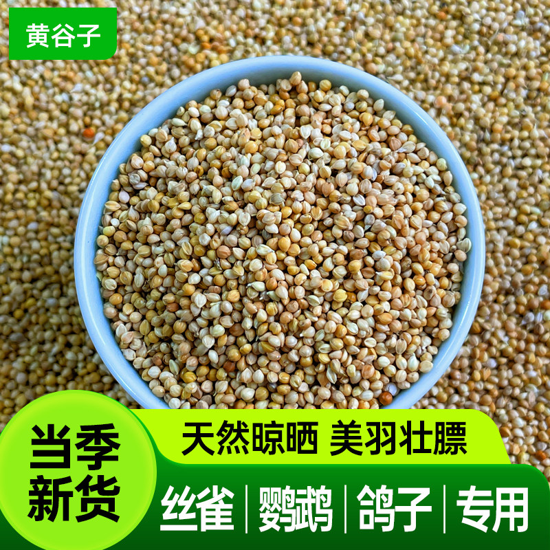 新黄谷子鹦鹉鸟粮饲料虎皮牡丹鹦鹉粮玄凤鹦鹉专用粮鹦鹉鸟粮鸽粮,宠物/宠物食品及用品,鸟食,淘宝优惠券,粉丝福利购,淘宝优惠卷