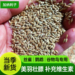 西蜀堂新加纳利子丝雀鹦鹉专用鸟营养粮鹦鹉鸟粮美羽虎皮鹦鹉饲料