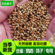 5色黍子鸟粮鹦鹉饲料鸟粮虎皮牡丹鹦鹉粮珍珠鸟芦丁鸡饲料鸽子粮