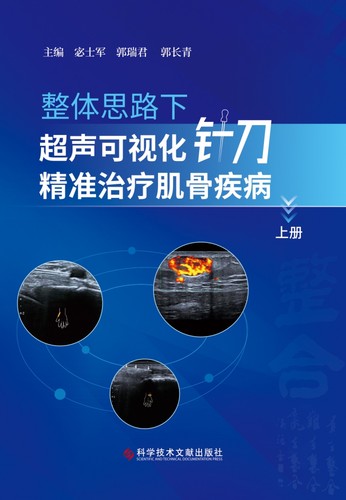 整体思路下超声可视化针刀精准治疗肌骨疾病(上)