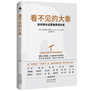 看不见的大象 中译出版社 (意)卢西亚诺·卡诺瓦 著 赵楚烨 译