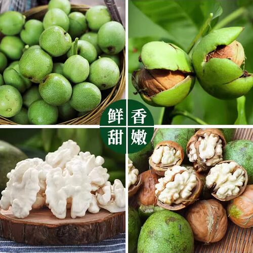 河北新鲜去青皮湿核桃带青皮核桃