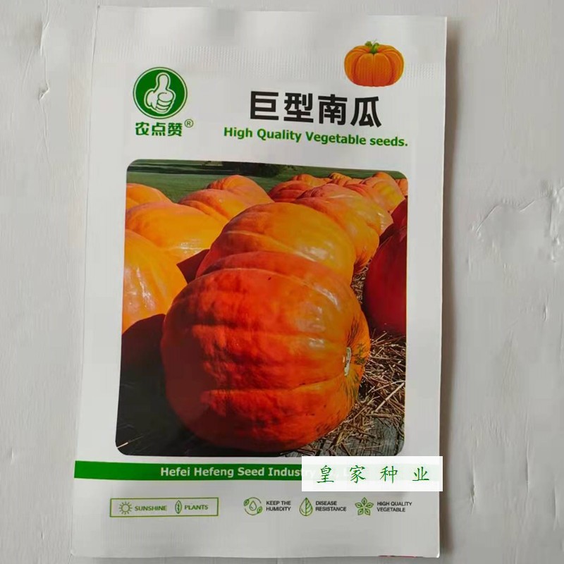 合丰种业巨型南瓜种子圆形特大南瓜种籽黄皮黄瓤老南瓜籽春秋高产