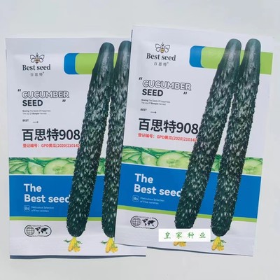 百思特908黄908黄瓜种子