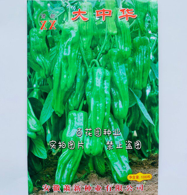 辣椒种子萧新大中华早熟口感好大果长灯笼椒青椒种子大田春秋季种
