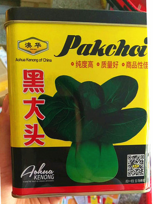 矮脚苏州青菜种子黑大头青菜种子高产耐寒耐热庭院四季播蔬菜种子