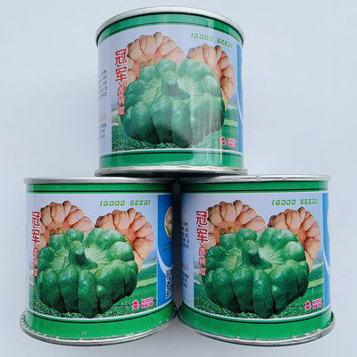 春之盛季夏姜柄瓜种子丰