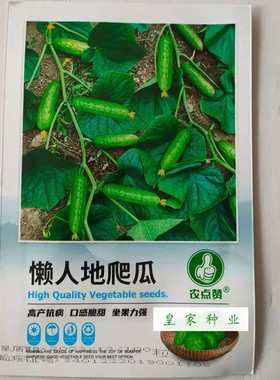 合丰种业懒人地爬瓜黄瓜种籽短棒形黄瓜早熟脆甜丰产抗病水果黄瓜