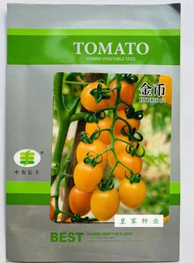 中农长丰金币小番茄种子西红柿种籽盆栽蔬菜孑黄色水果圣女果籽种