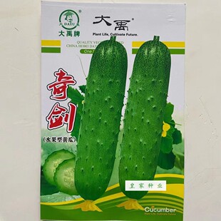 大禹牌奇剑黄瓜种子中早熟浅绿色黄瓜水果型黄瓜种籽瓜长20CM春秋