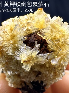贵州 花朵黄钾铁矾包裹萤石天然矿物晶体矿石标本摆件教学观赏