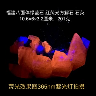 福建八面体绿萤石红荧光方解石石英天然矿物晶体矿石标本摆件教学