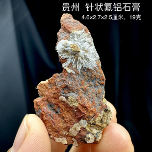 贵州针状氟铝石膏天然矿物晶体矿石标本摆件教学地质观赏收藏奇石