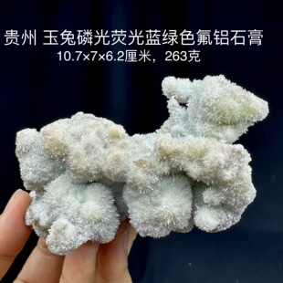 贵州玉兔荧光磷光蓝绿色氟铝石膏天然矿物晶体矿石标本摆件教学