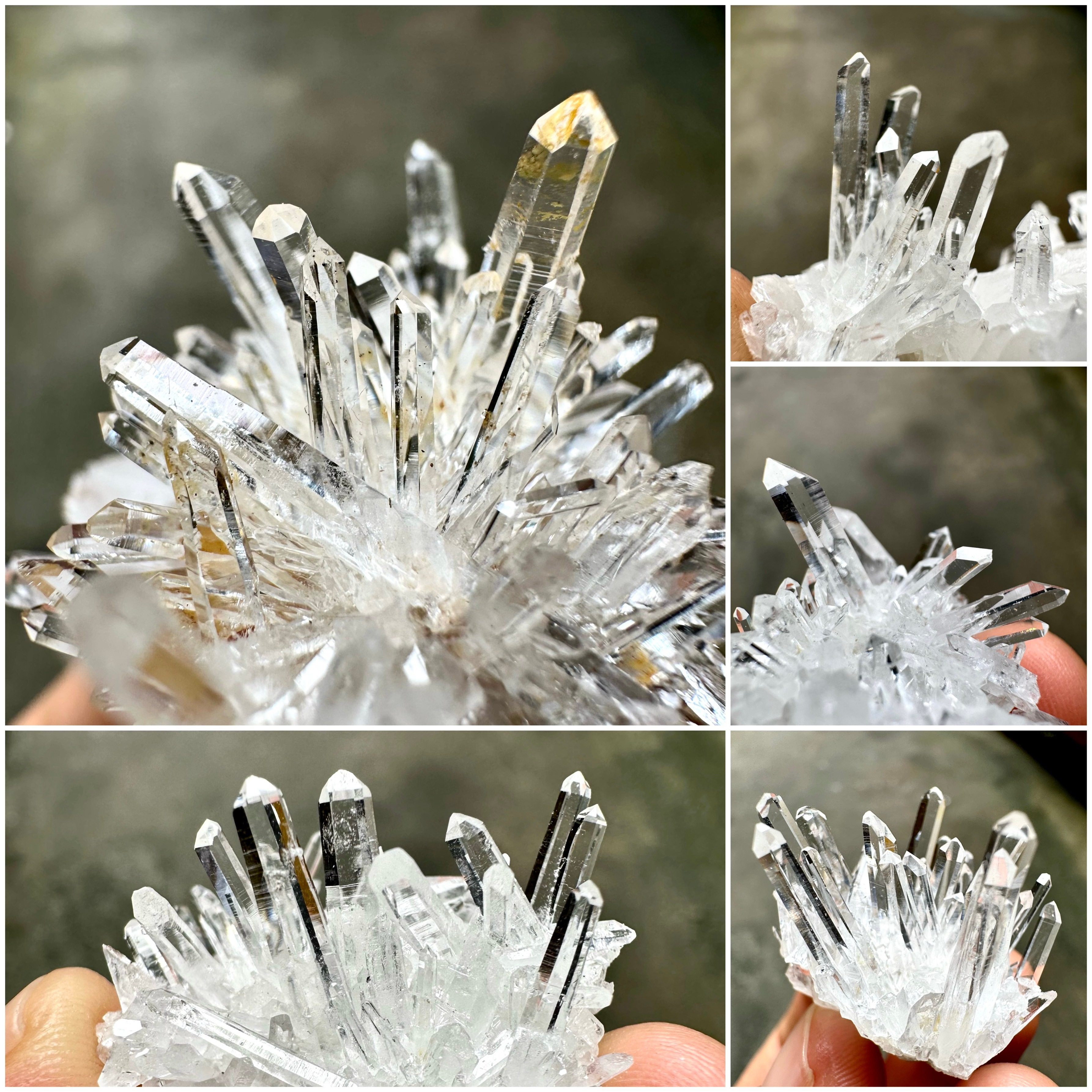 金口河菊花晶透明水晶簇天然矿物晶体矿石标本原石宝石奇石摆件