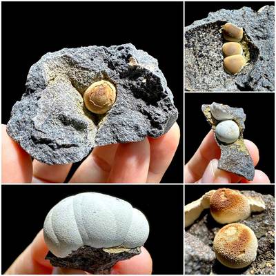 福建球状方解石天然矿物晶体矿石标本原石宝石奇石摆件观赏石收藏