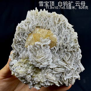 雪宝顶白钨矿云母天然矿物晶体矿石标本摆件教学观赏收藏奇石地质