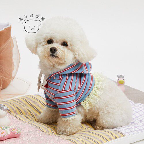 燕子萌宠屋韩国代购 louisdog宠物猫狗短款长袖套头衫蕾丝边上衣