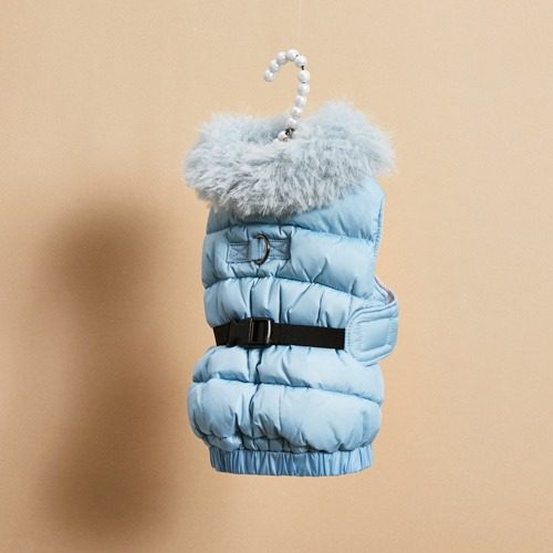 预定/燕子萌宠屋韩国代购Louisdog小型猫狗秋冬鹅绒服无袖毛领