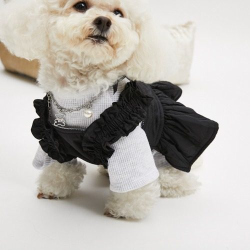 燕子萌宠屋韩国代购 louisdog宠物猫狗秋冬时尚拉链背带裙