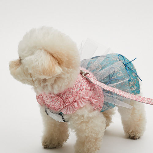 燕子韩国宠物衣服代购 louisdog胸背带牵引一套 蕾丝外出胸背