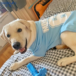 夏季 狗狗衣服薄款 宠物金毛拉布拉多萨摩耶大狗柯基大型犬夏天背心
