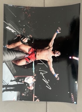 汤姆阿斯皮纳尔亲笔签名十寸大照片 ufc冠军