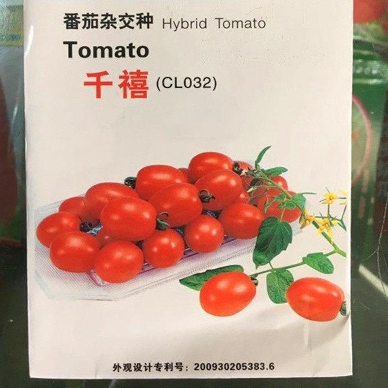 台湾农友千禧小番茄种子苗