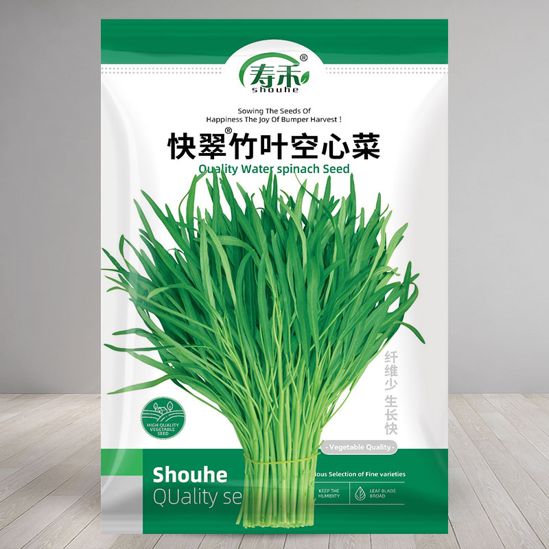 翠绿竹叶空心菜种子籽苗四