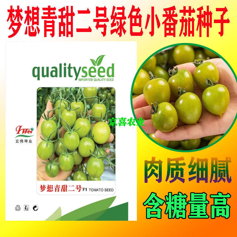 梦想青甜二号小番茄种子苗