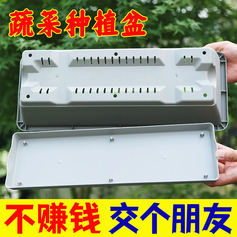 阳台种菜专用盆长方形条花