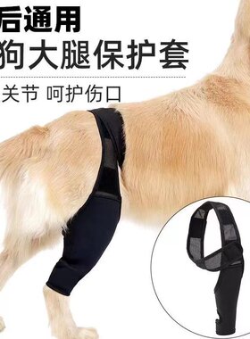 宠物关节炎护腿套护膝狗狗大腿