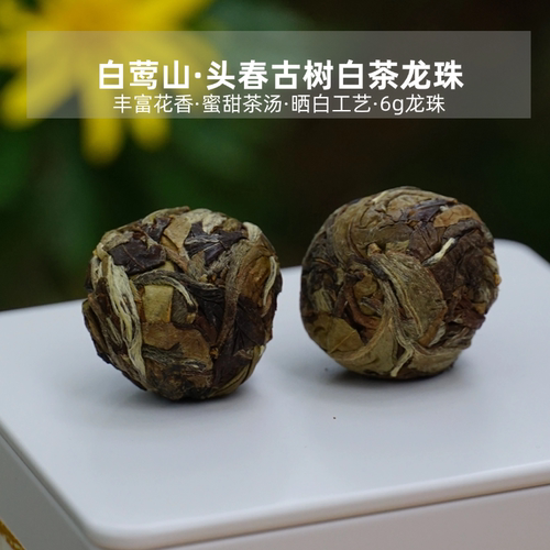 白莺山白茶龙珠6g一颗】云南白莺山2022年古树头春云寿 100g/罐