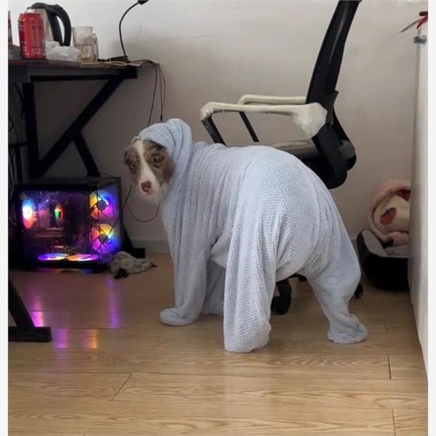 宠物加厚吸水毛巾猫狗浴