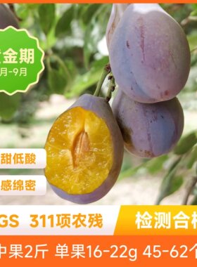 辰颐物语严选新疆法兰西西梅新鲜孕妇水果当季脆甜李子2斤发顺丰
