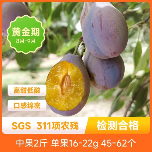 辰颐物语严选新疆法兰西西梅新鲜孕妇水果当季脆甜李子2斤发顺丰