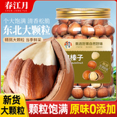 2025年新东北原味开 500g零食坚果炒货特产 口榛子仁大颗粒罐装