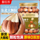 2025年新东北原味开 500g零食坚果炒货特产 口榛子仁大颗粒罐装