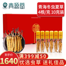 青源堂冬虫夏草10g优选品质青海虫草干货4根/g大号包装盒礼盒