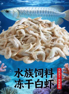 银龙鱼饲料白虾冻干龟粮鹦鹉鱼神仙鱼淡水无盐虾干地图鱼乌龟饲料