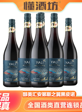 醇美汇智利原瓶进口红酒干红葡萄酒安第斯之翼黑皮诺750ml