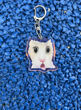 这不我工位吗猫头亚克力挂饰