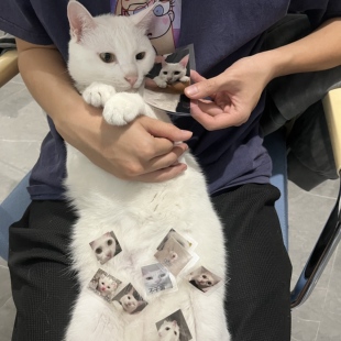 TO签 10表情贴纸一套 10＆老普 AMA