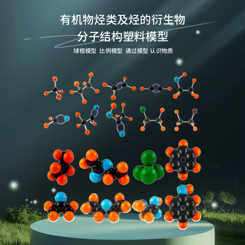 有机分子结构模型球棍比例中型装
